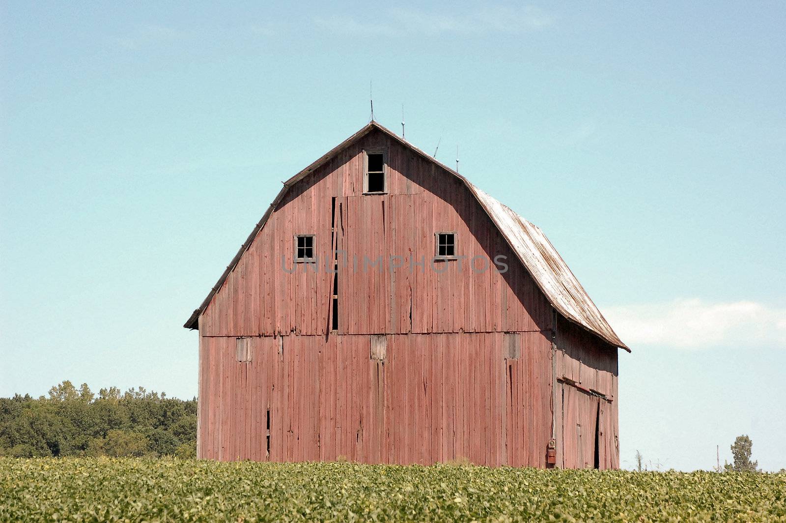 Red Barn in an Indiana Field