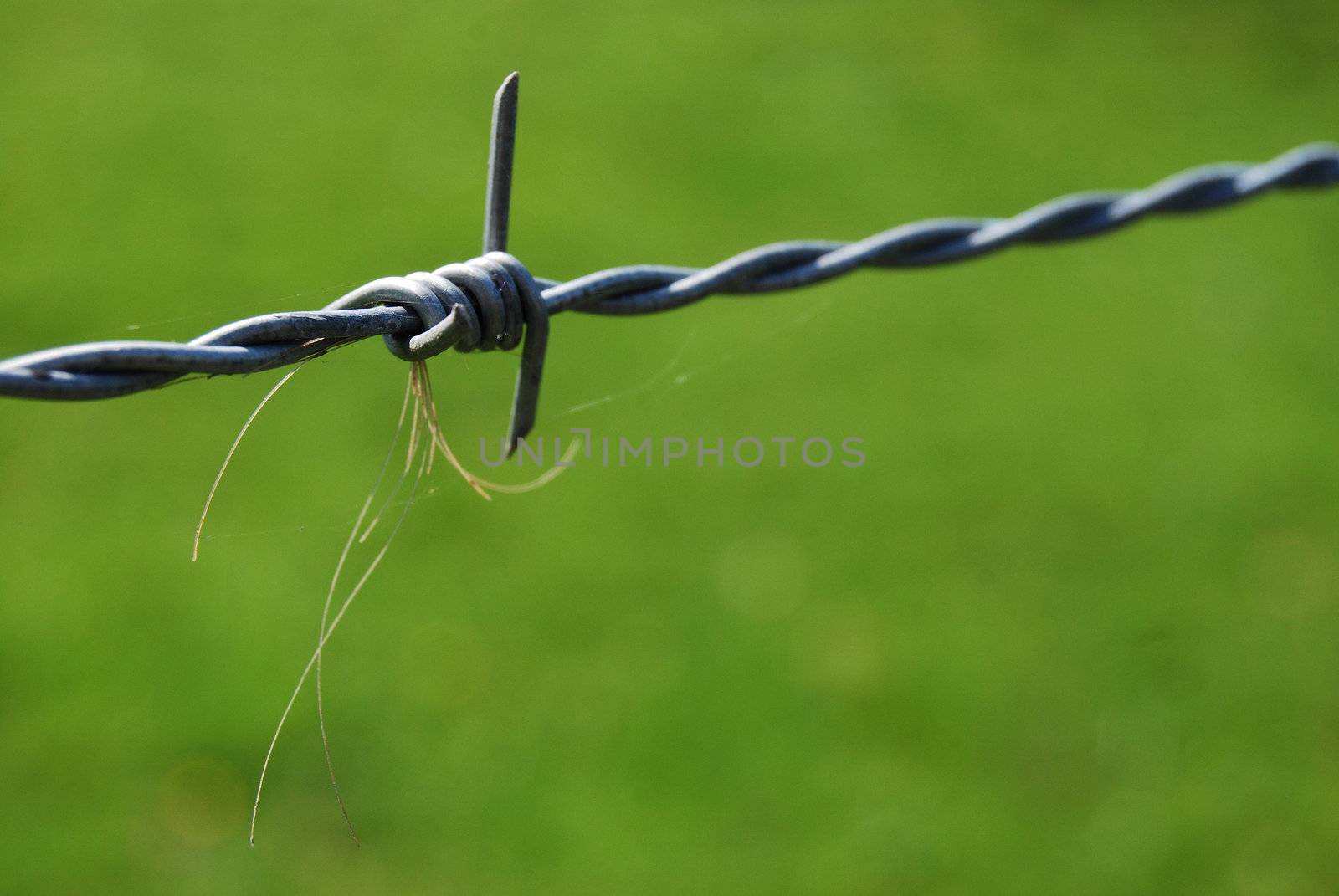 close up of a barbwire fence with fibres coming out