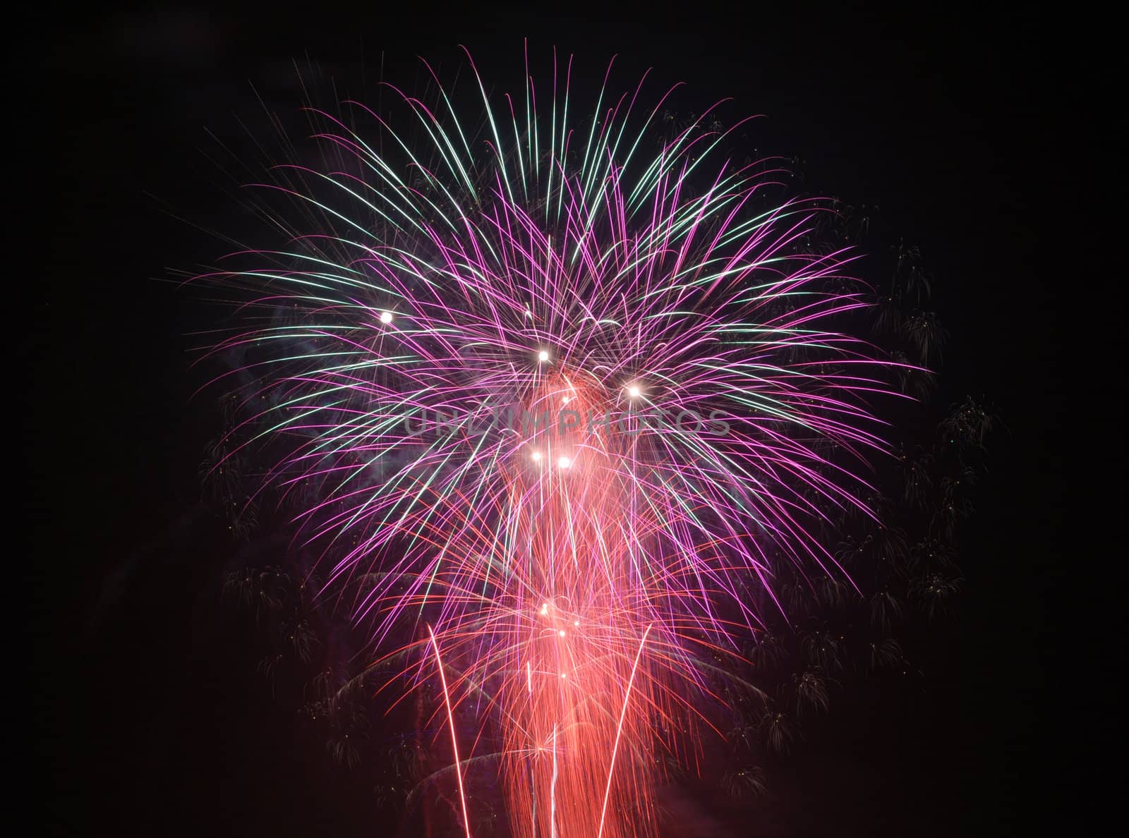 Red, purple and blue fireworks explode in the sky.