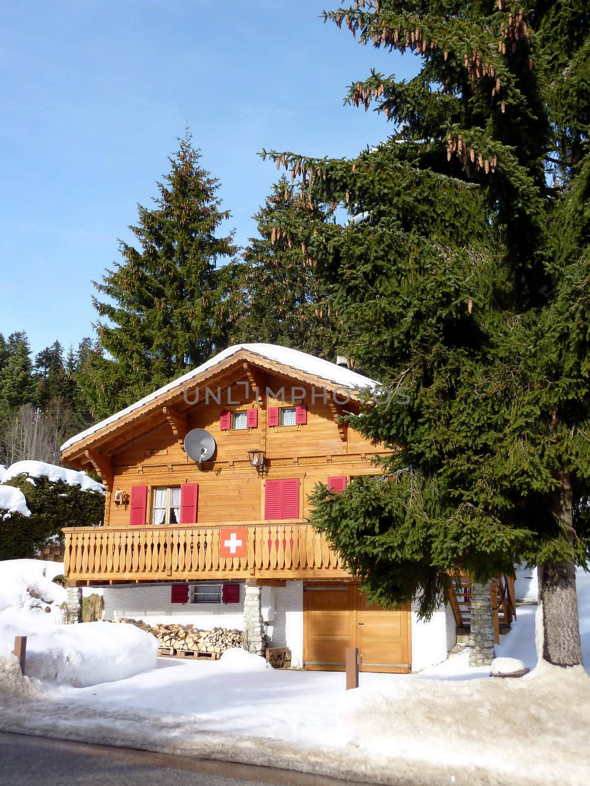 Brown sunny chalet in Jura mountain and surrounded by fir trees, Switzerland