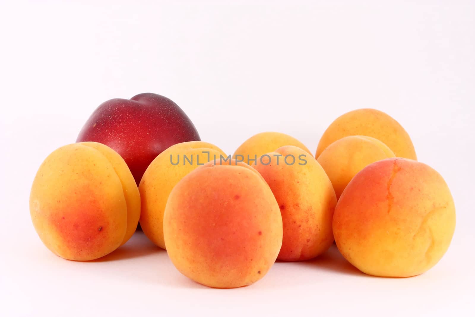 fresh colorful riped apricots and nectarine