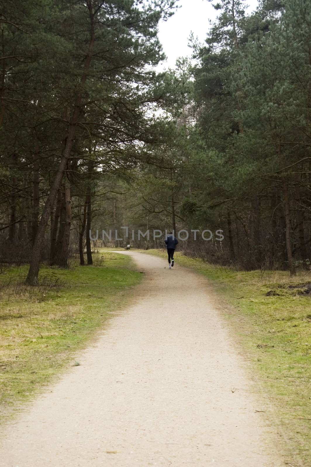 man jogging in the forrest