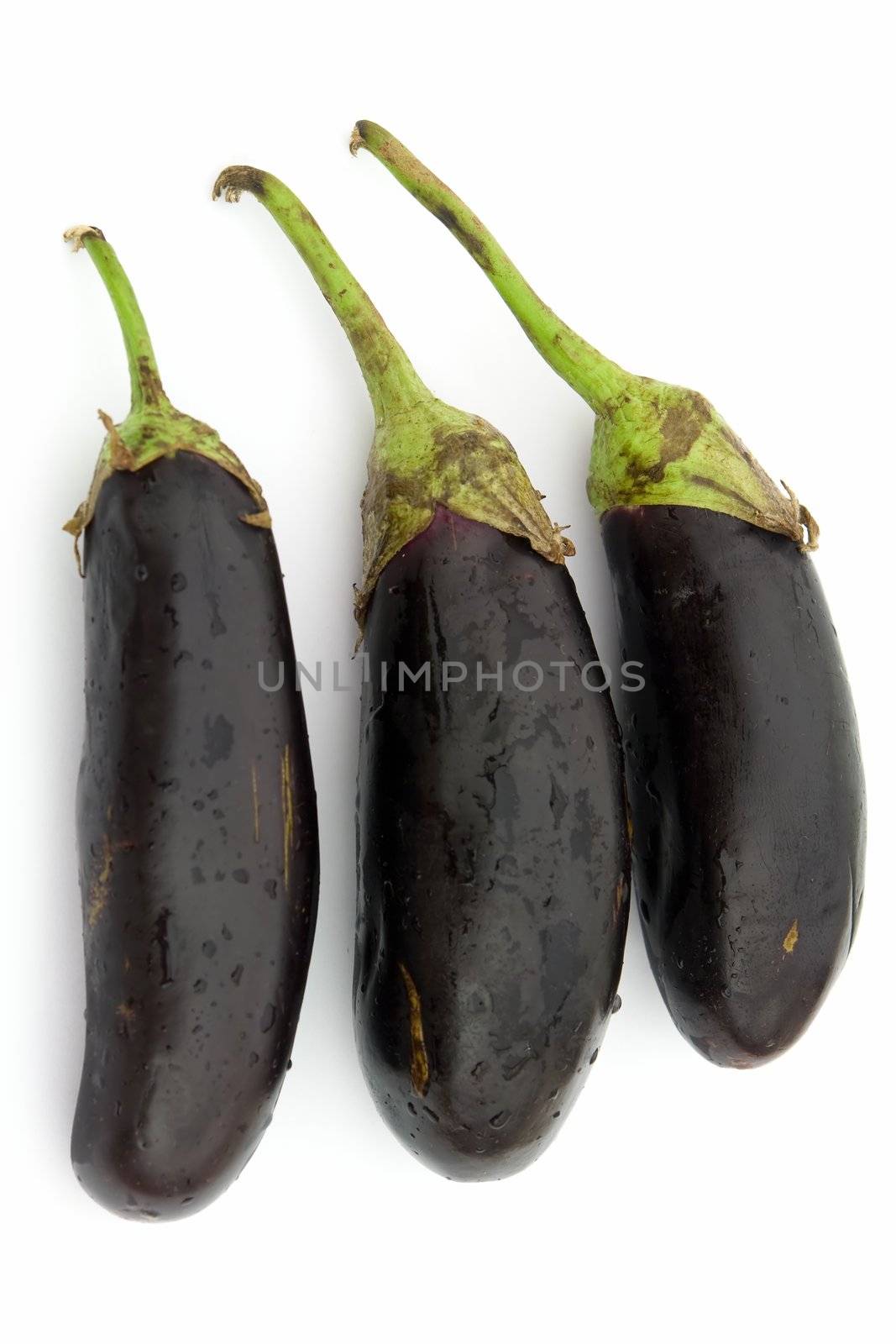 Some big eggplants on a white background.