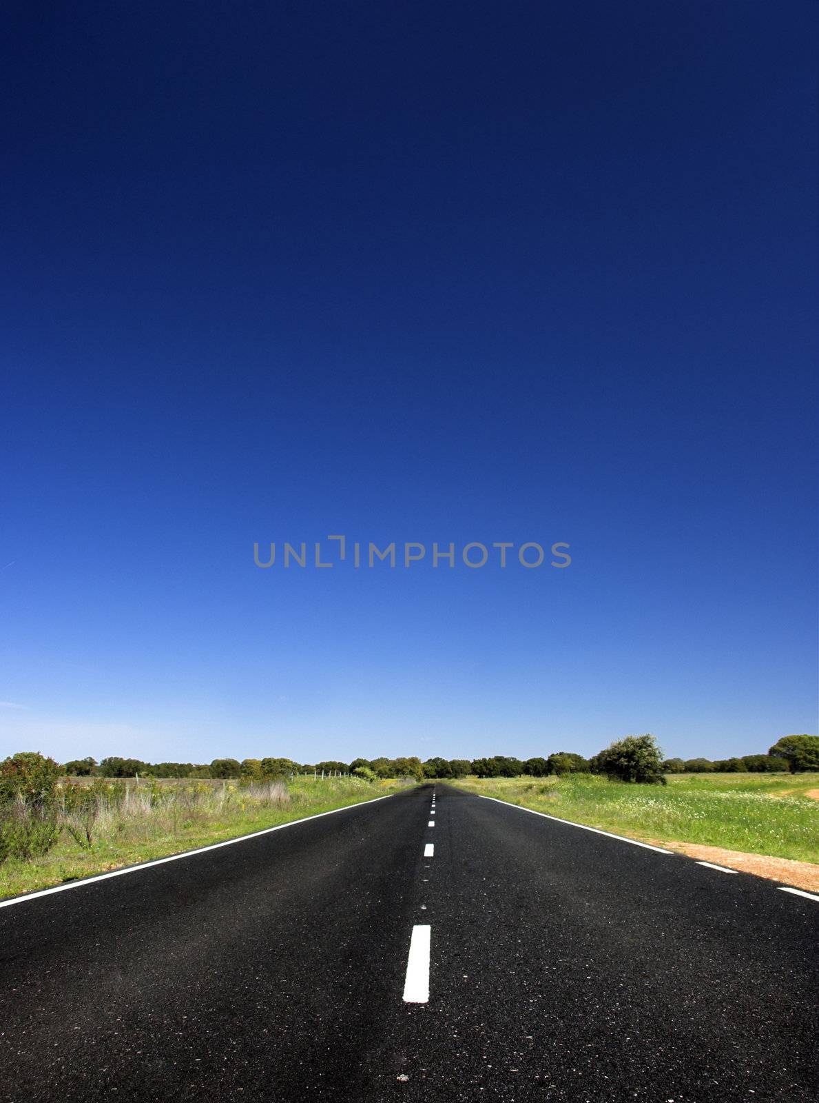 Empty Country road through farm land