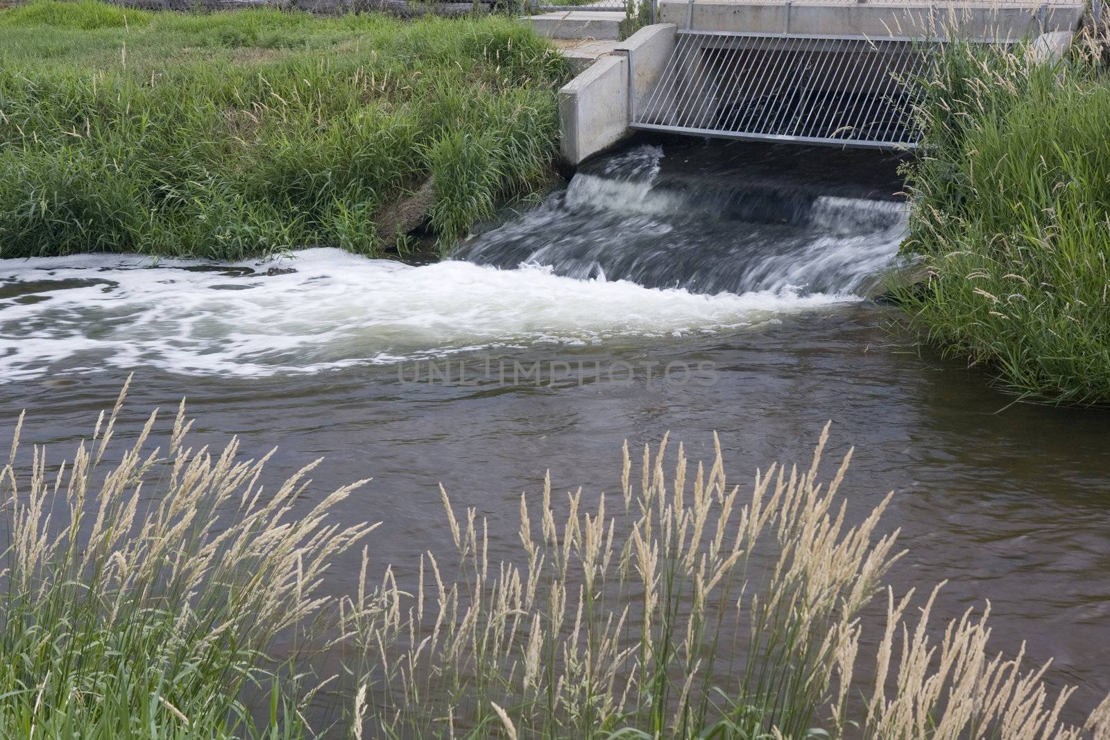 Processed and cleaned sewage flowing out from water reclamation facility to a narrow river or canal with grassy banks