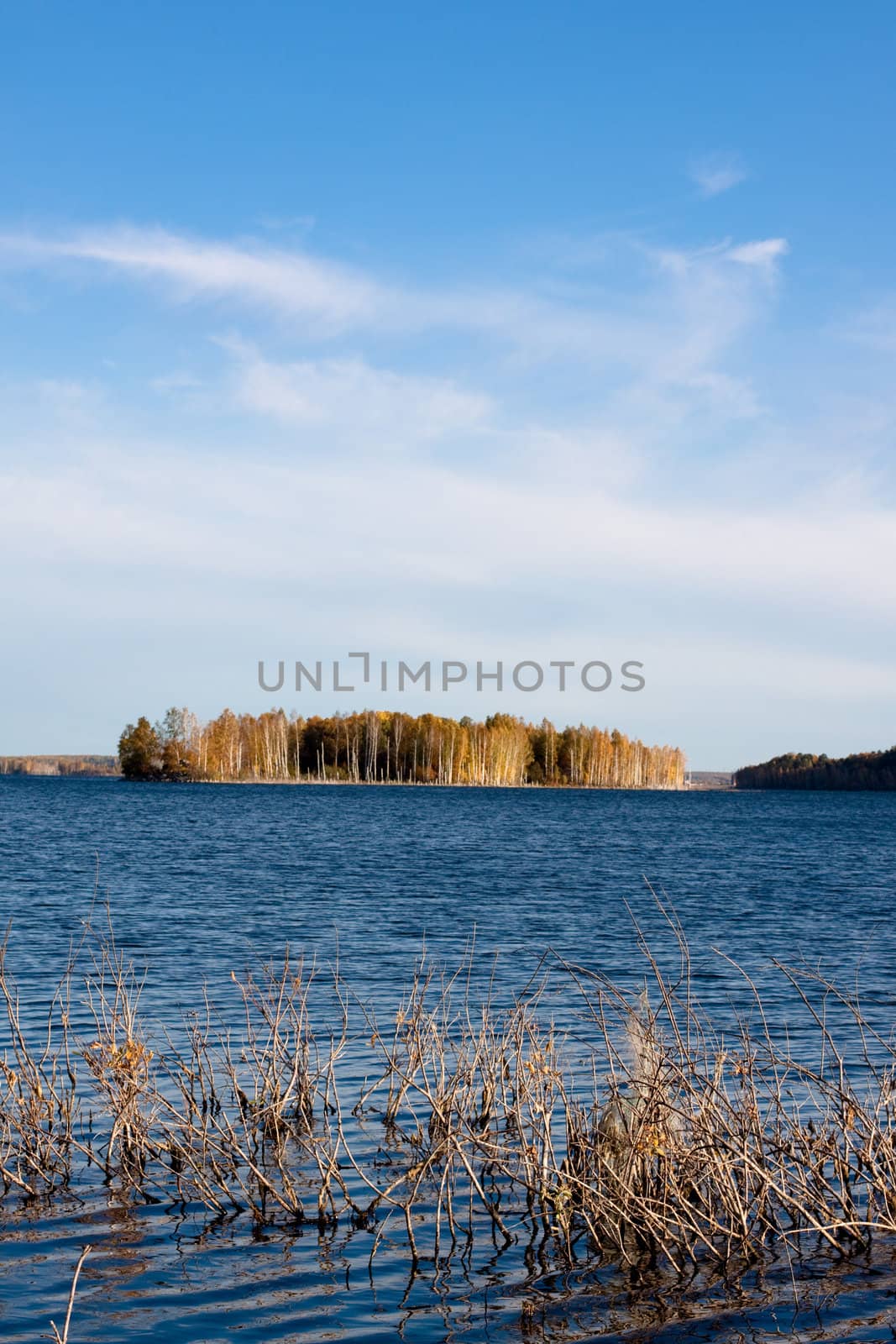 golden fall lake by foaloce