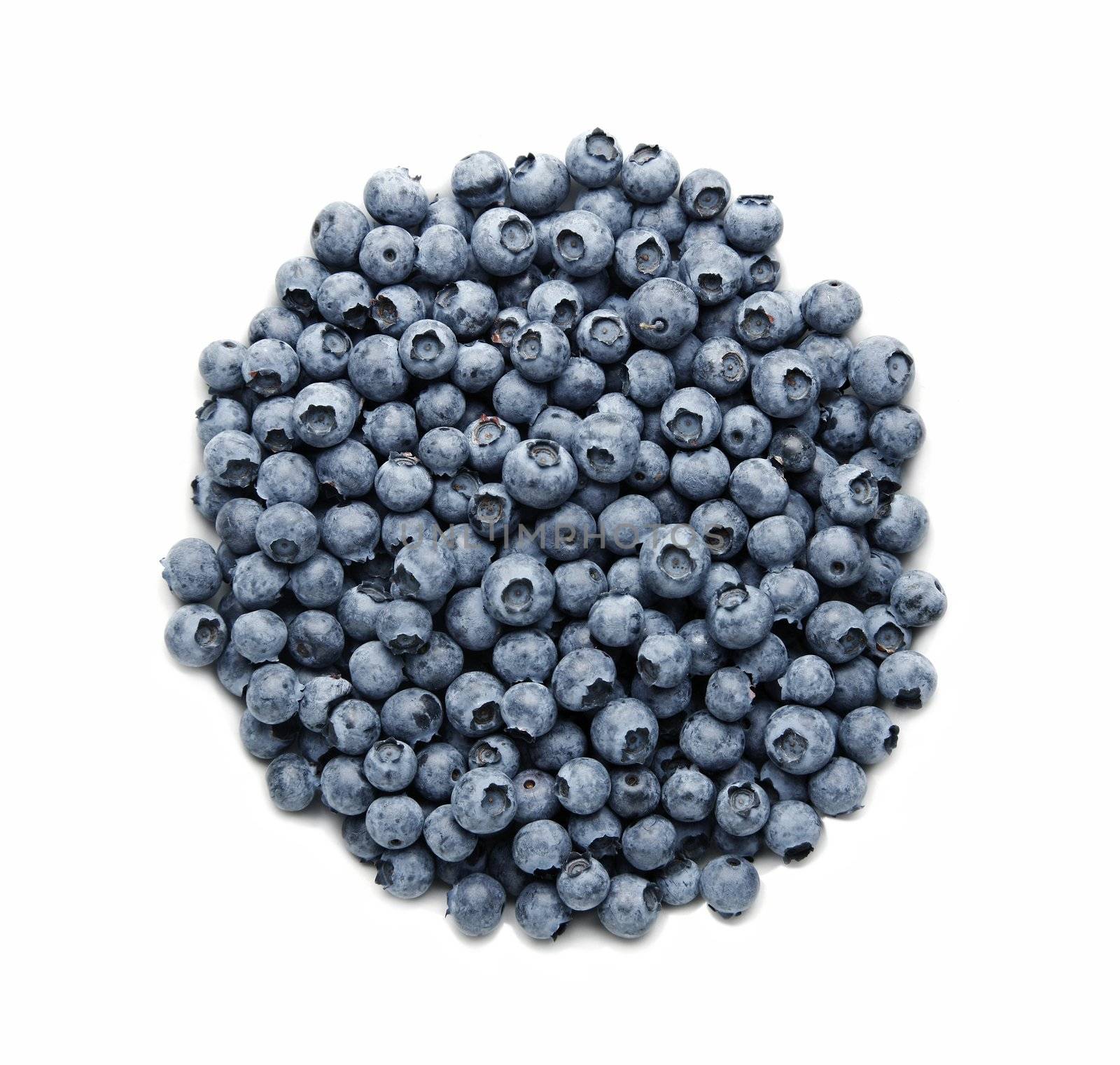 Pile of delicious blueberries isolated on white background - large XXL file shot in studio