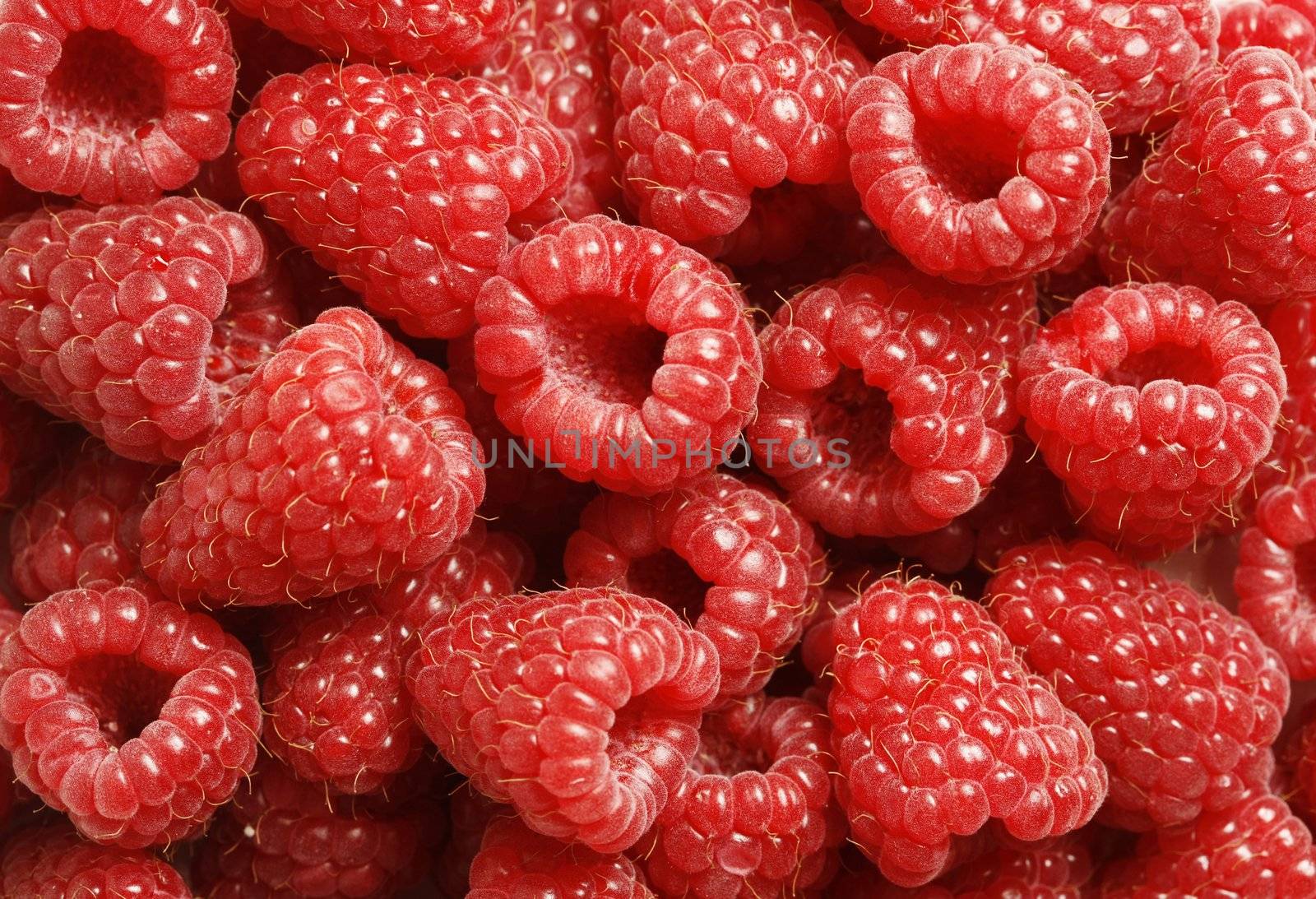 Delicious red raspberries seen close up - large XXL file shot in studio with a 21 megapixel camera