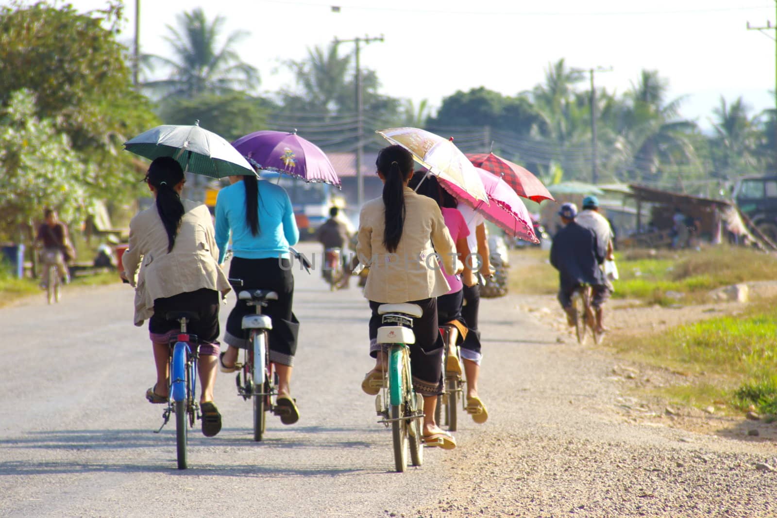 Asian women riding their bicycles under umbrellas