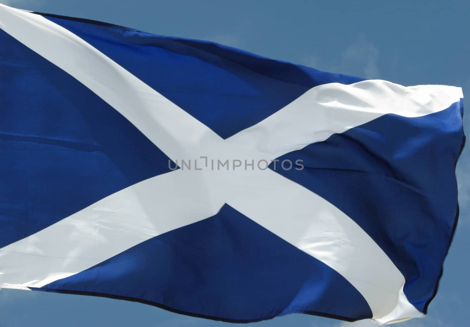 The national flag of Scotland blowing in the wind. 
