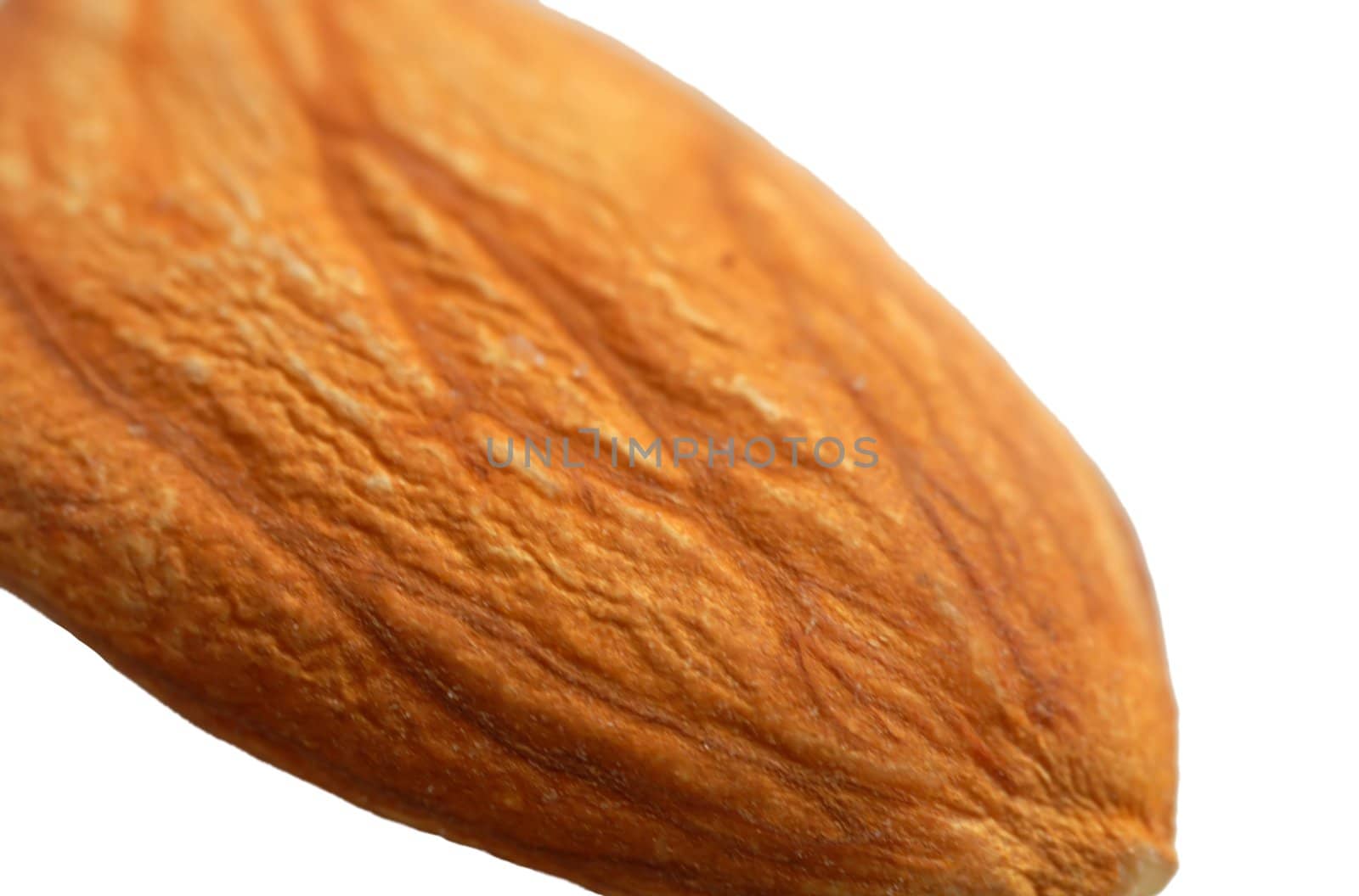 macro of almond