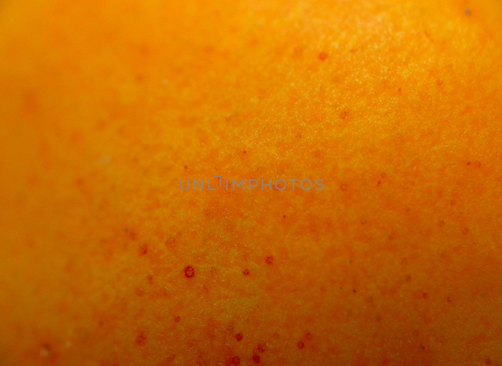 macro of surfase of apricot
