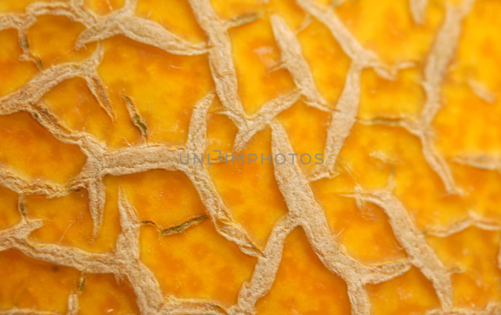 macro of gold wrinkled melon's surface