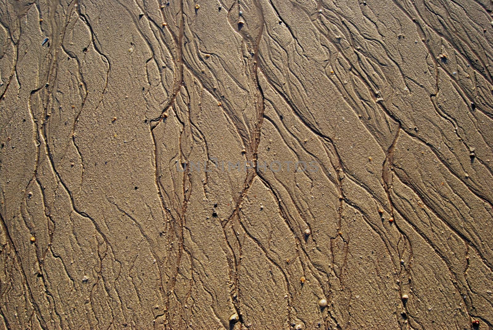 traces of the ocean water leaving patterns in the sand