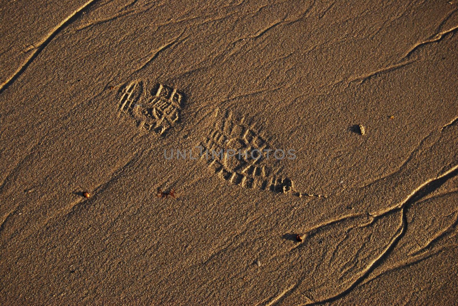 tracks of footprints in the wet sand of a beach