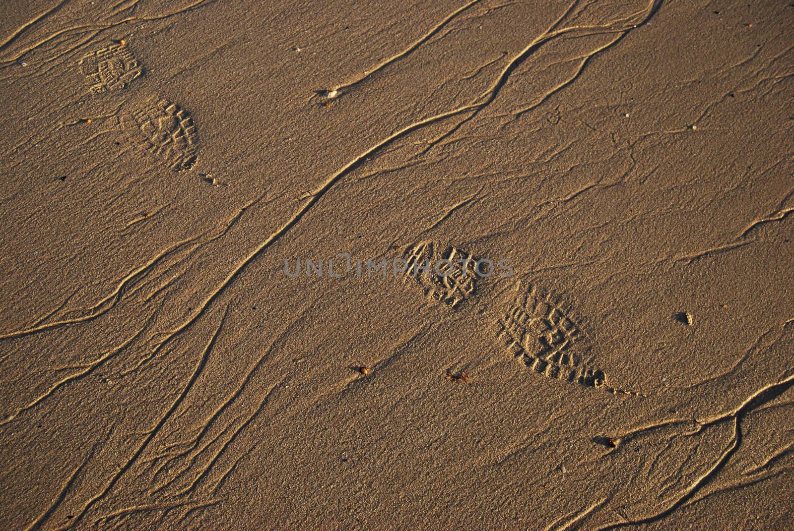 tracks of footprints in the wet sand of a beach