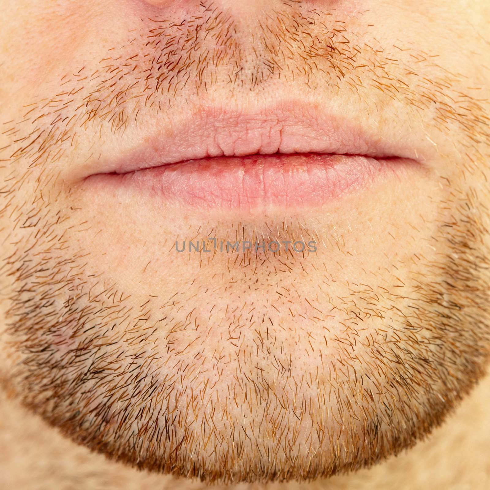 Men's short beard and lips close up