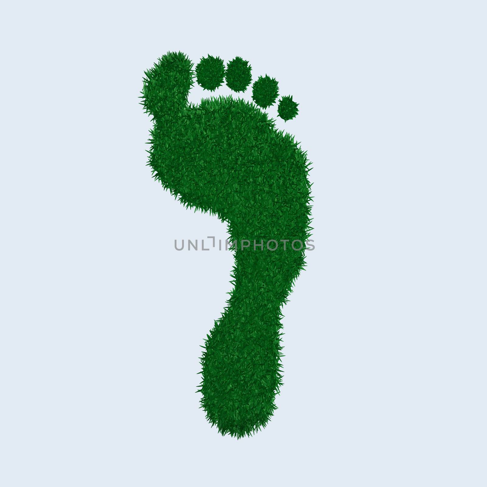Image of a green grass footprint.