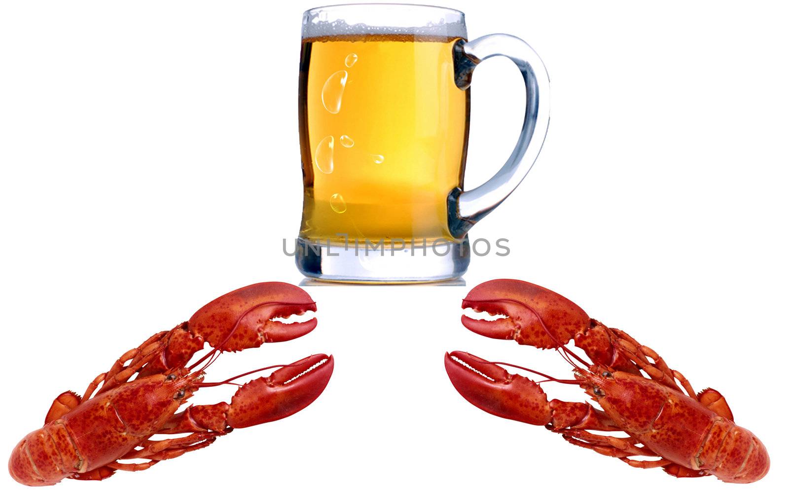 alcohol gold beer color isolated liquid crab fish