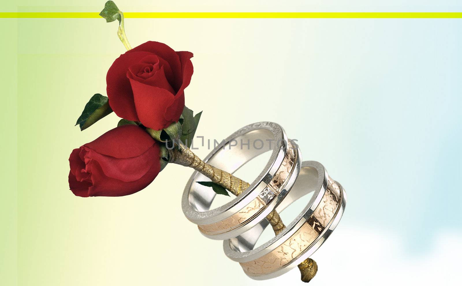 Romantic picture two roses and rings 