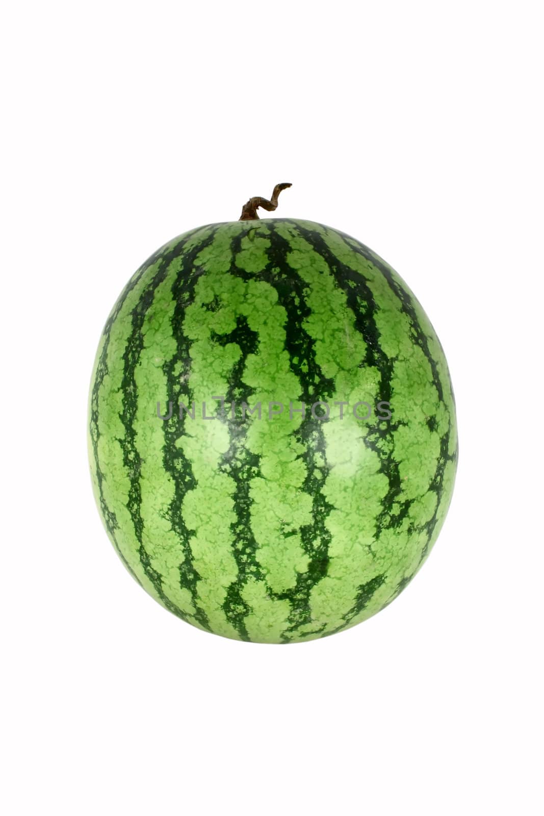 ripe green striped watermelon, isolated