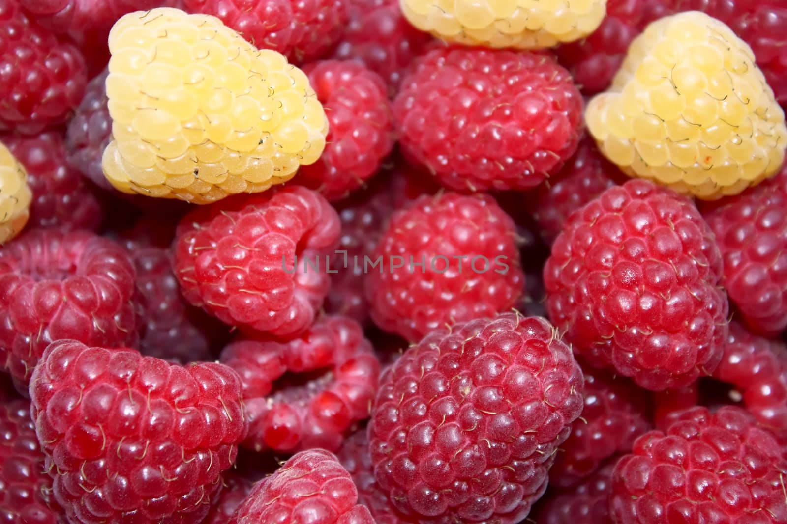 red and yellow raspberries, background