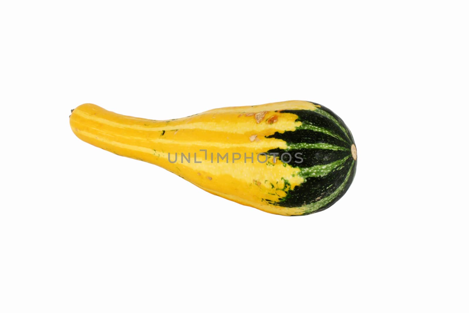 Decorative gourd, isolated on white, clipping path