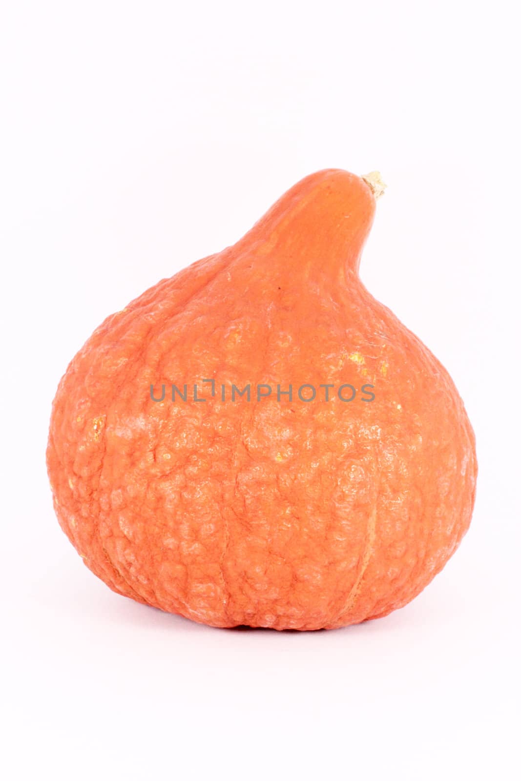 Decorative gourd, isolated