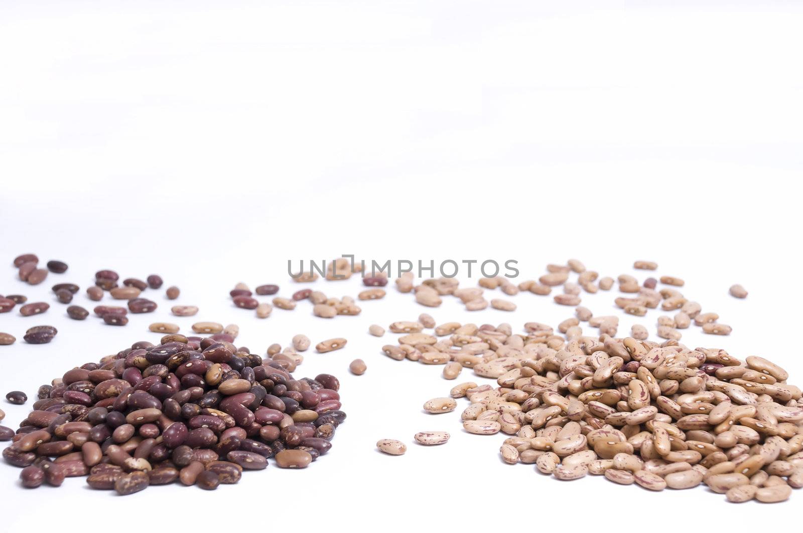 close up on two big piles of kidney or red beans and pinto or brown beans, isolated on white