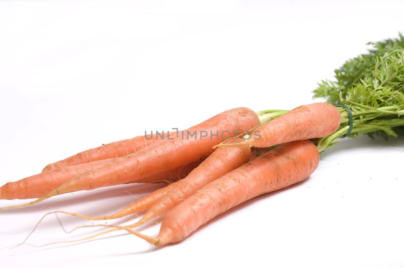 stack of fresh carrots with green leaves, just picked from the garden, isolated on white