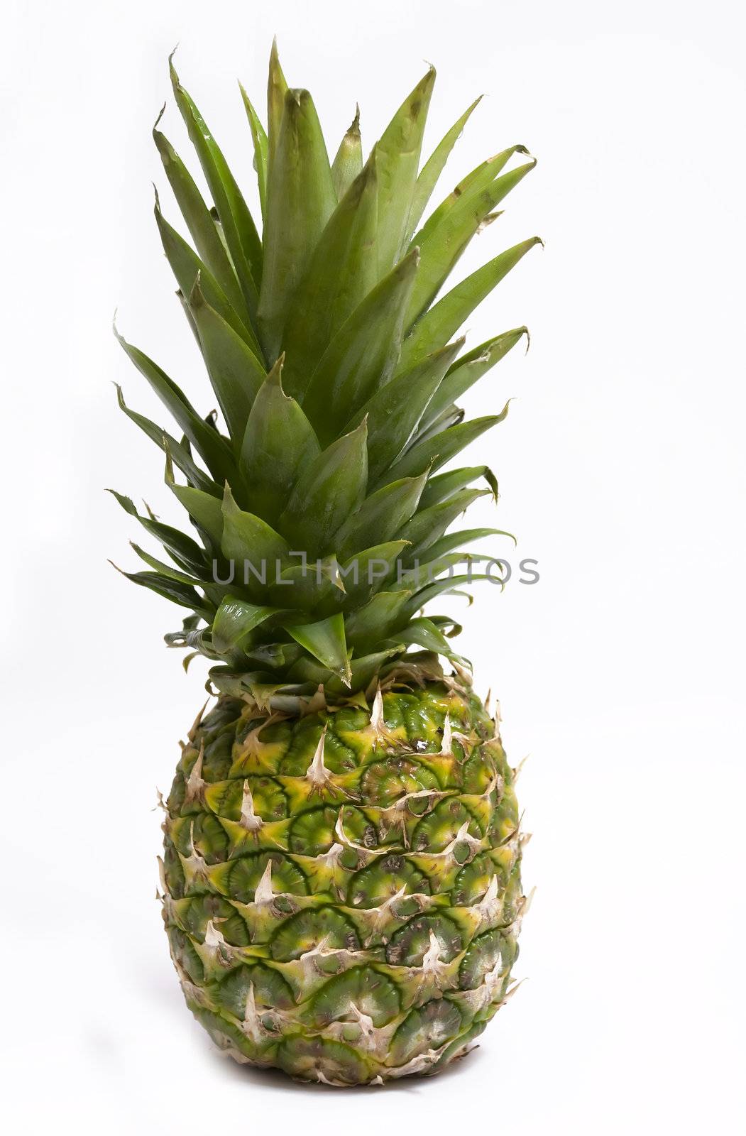 lovely, small, organic pineapple just waiting to be eaten