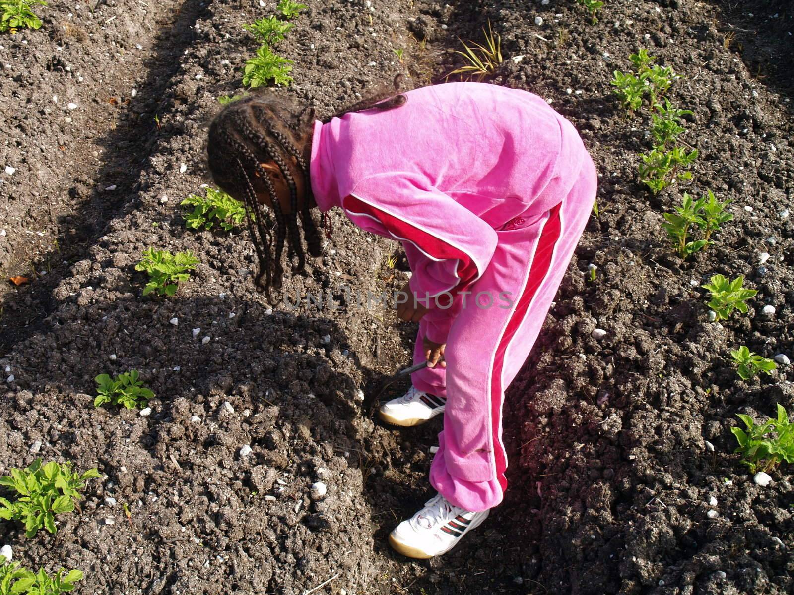 girl in potatoe field