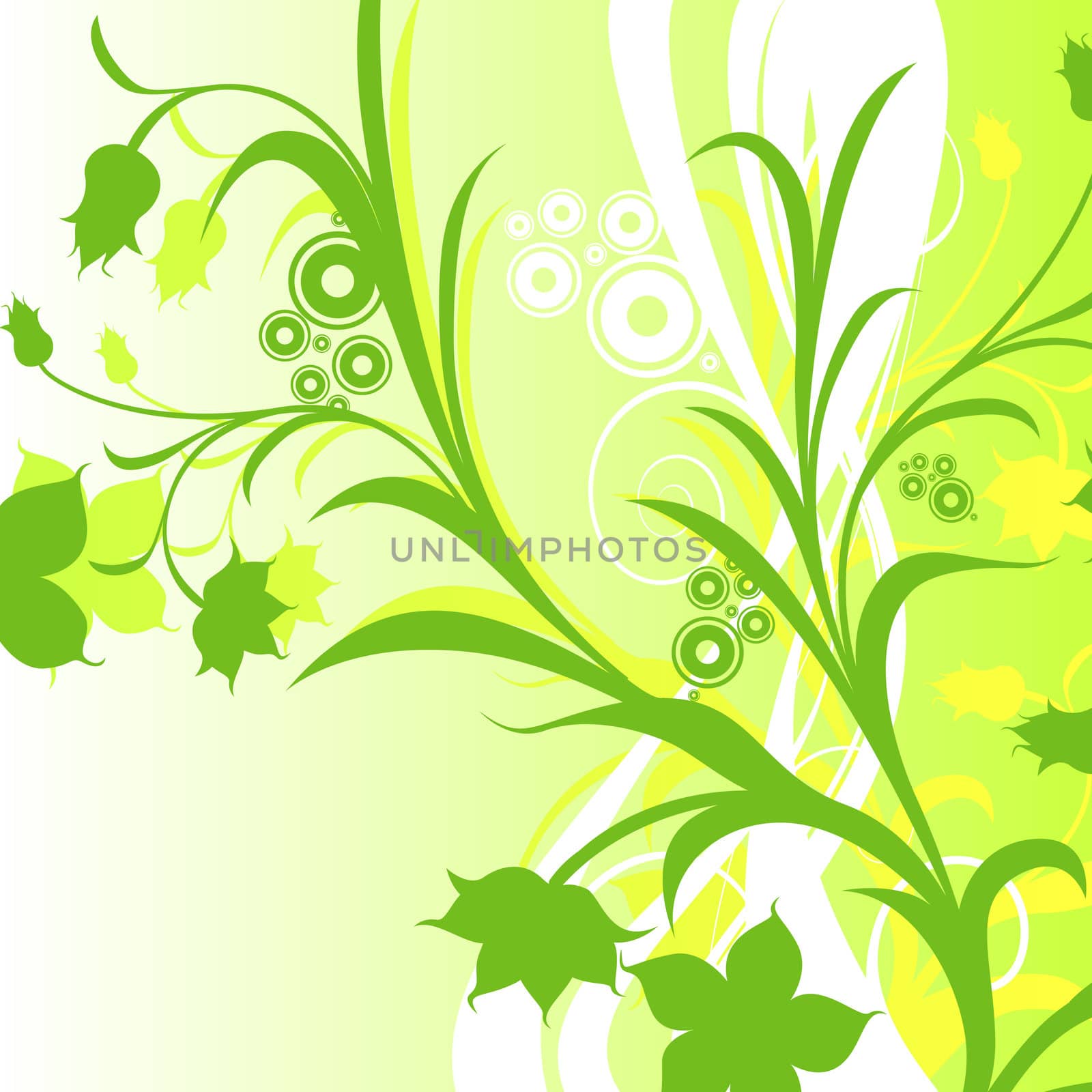 abstract floral composition; design with circles and flowers