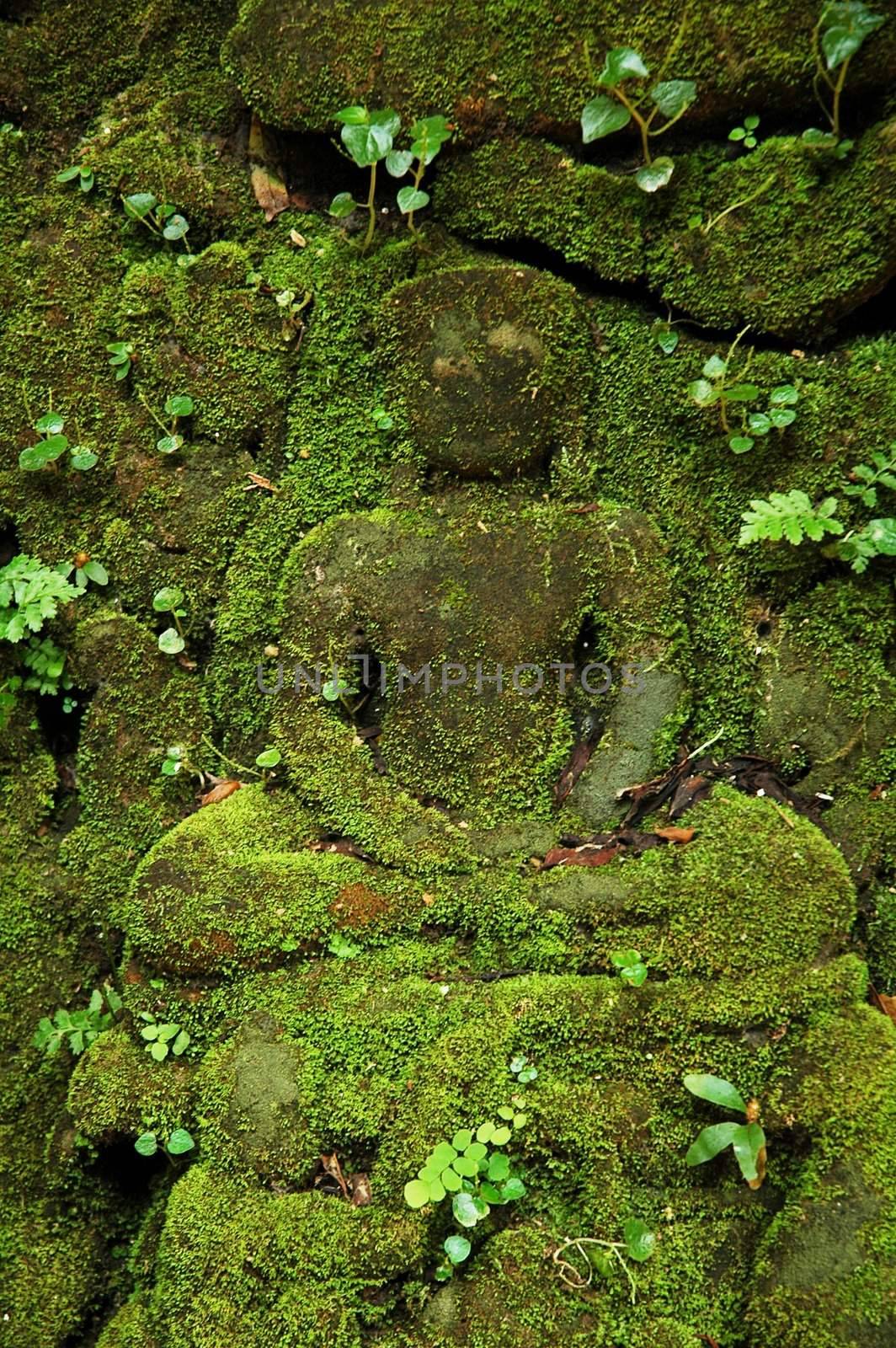 Green stone Buddha. by kefiiir