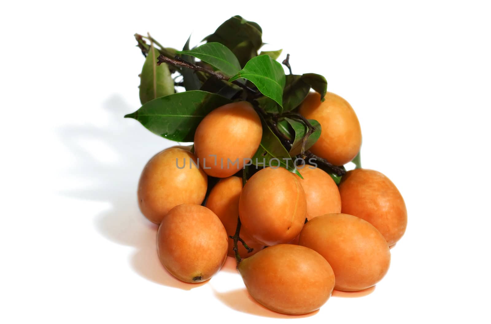 Exotic Thai Fruit. Maprang, Marian plum, Gandaria, Marian mango, Plum mango. Isolated on white.