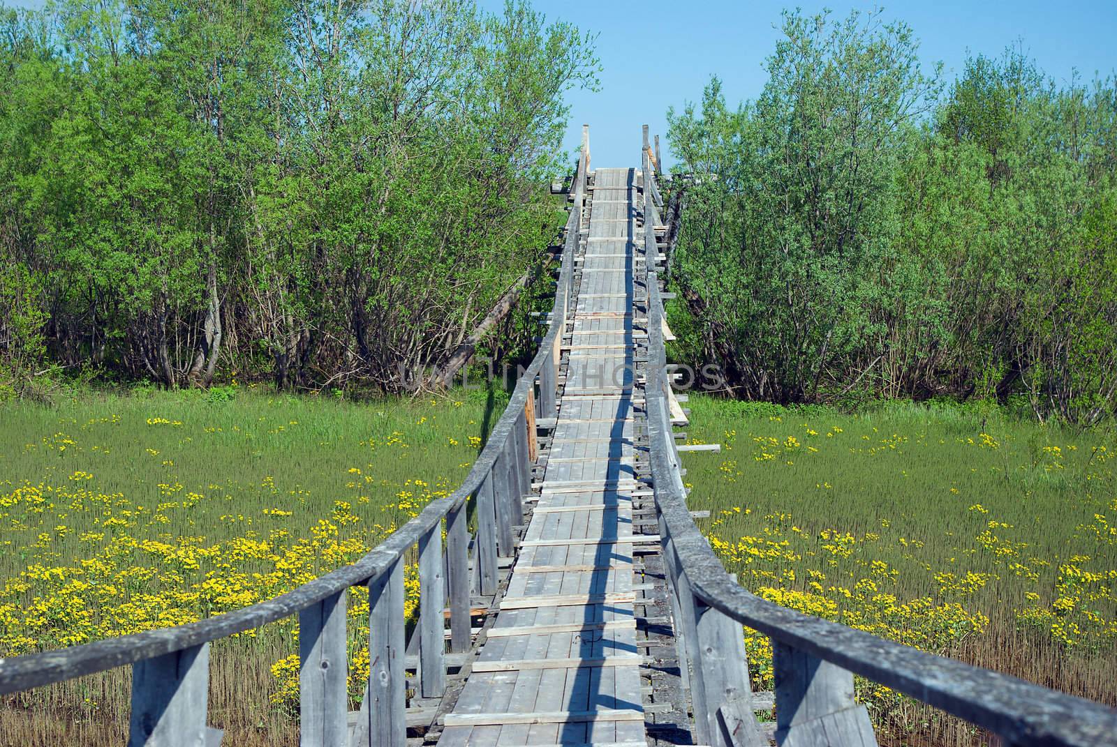 Suspension bridge over the river.Old Style Suspension Bridge -- crossing a mountain river