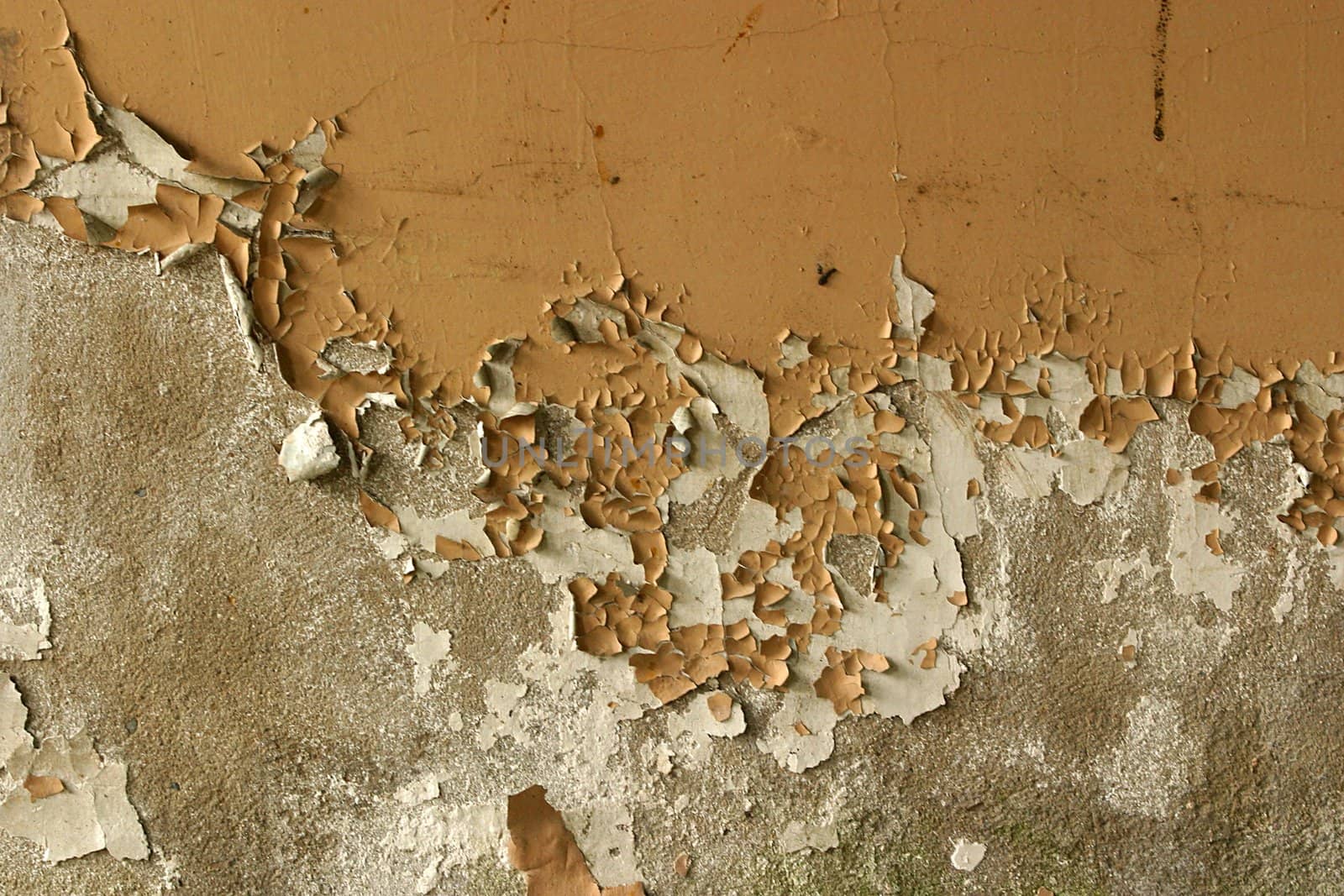 Full screen high resolution shot of old wall. Good for a texture or a background.