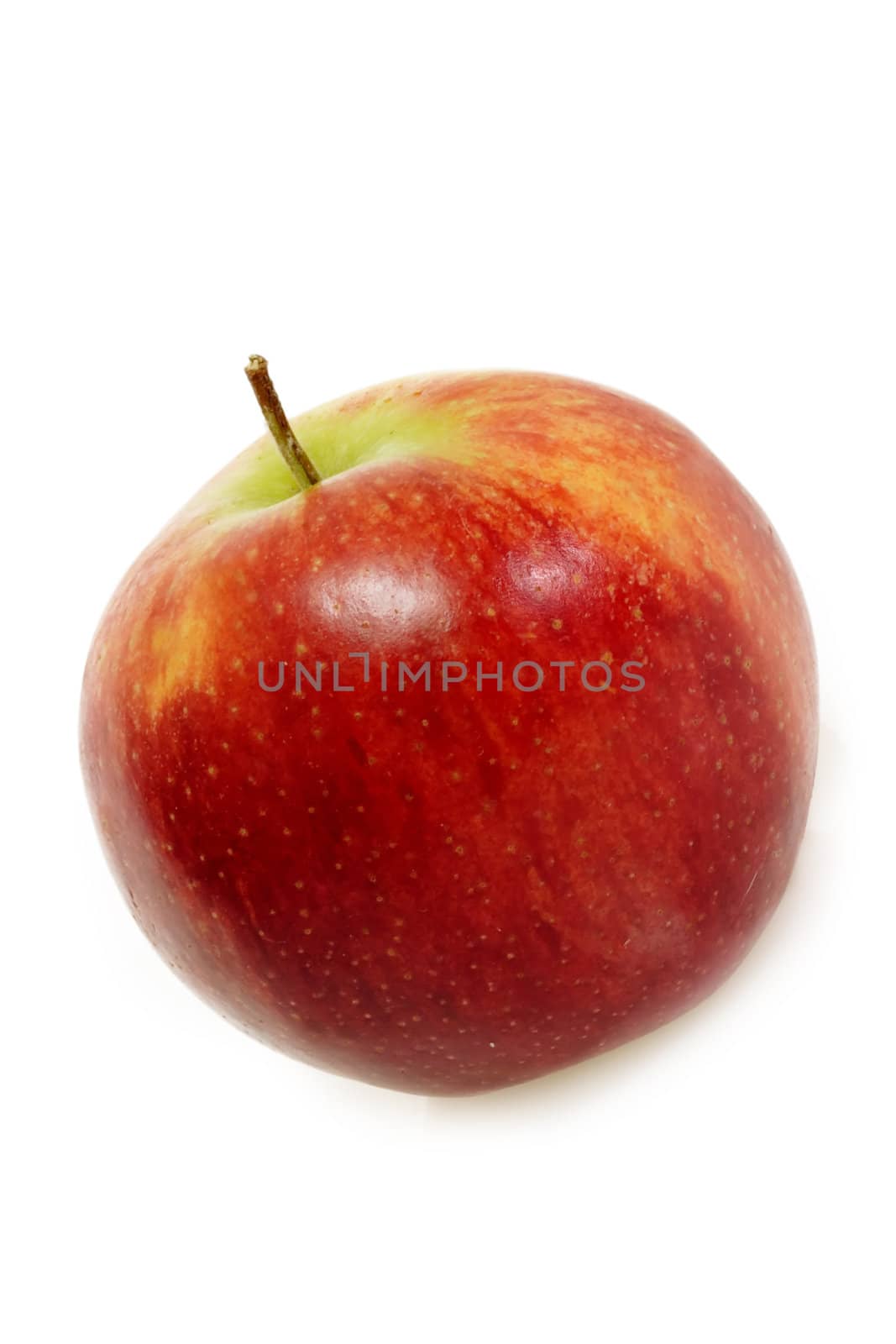 Red apple  on bright background