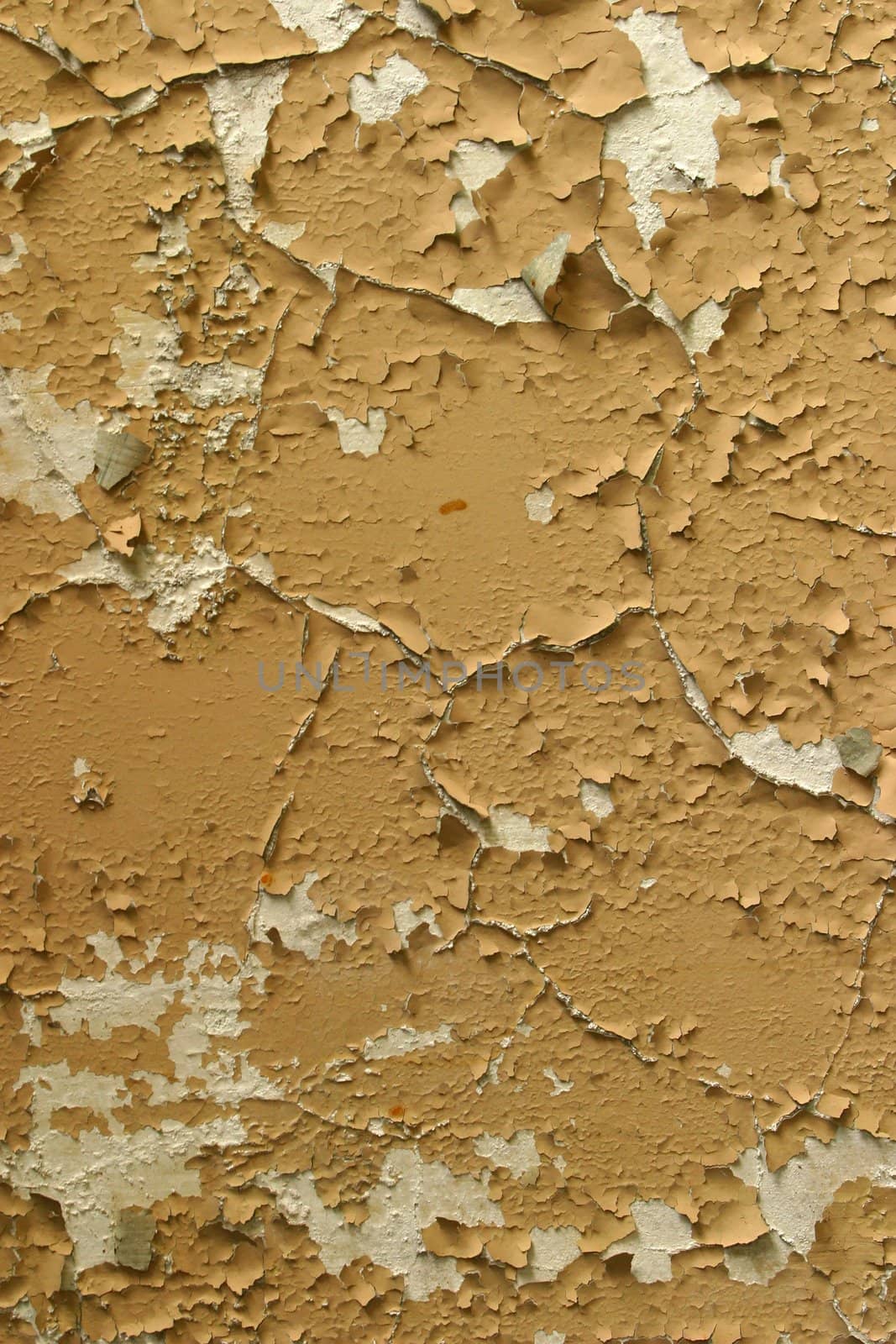 Full screen high resolution shot of old wall. Good for a texture or a background.