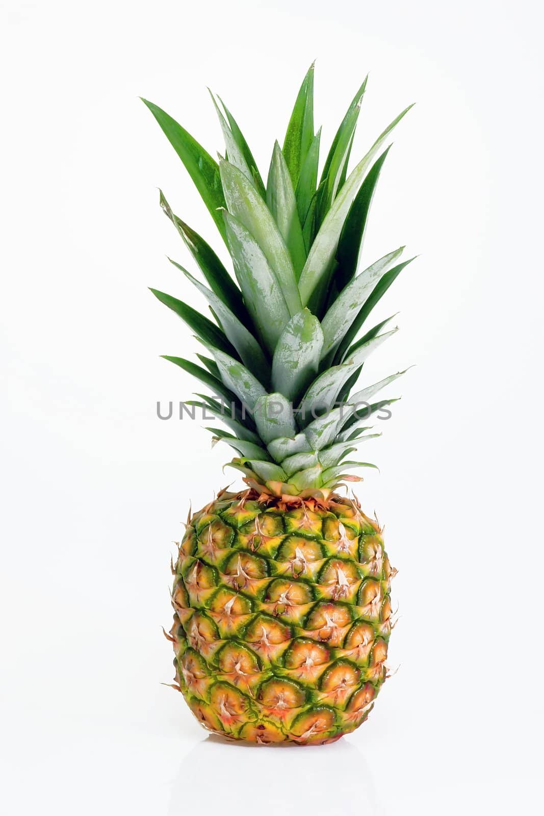 Pineapple fruit isolated on a white background.
