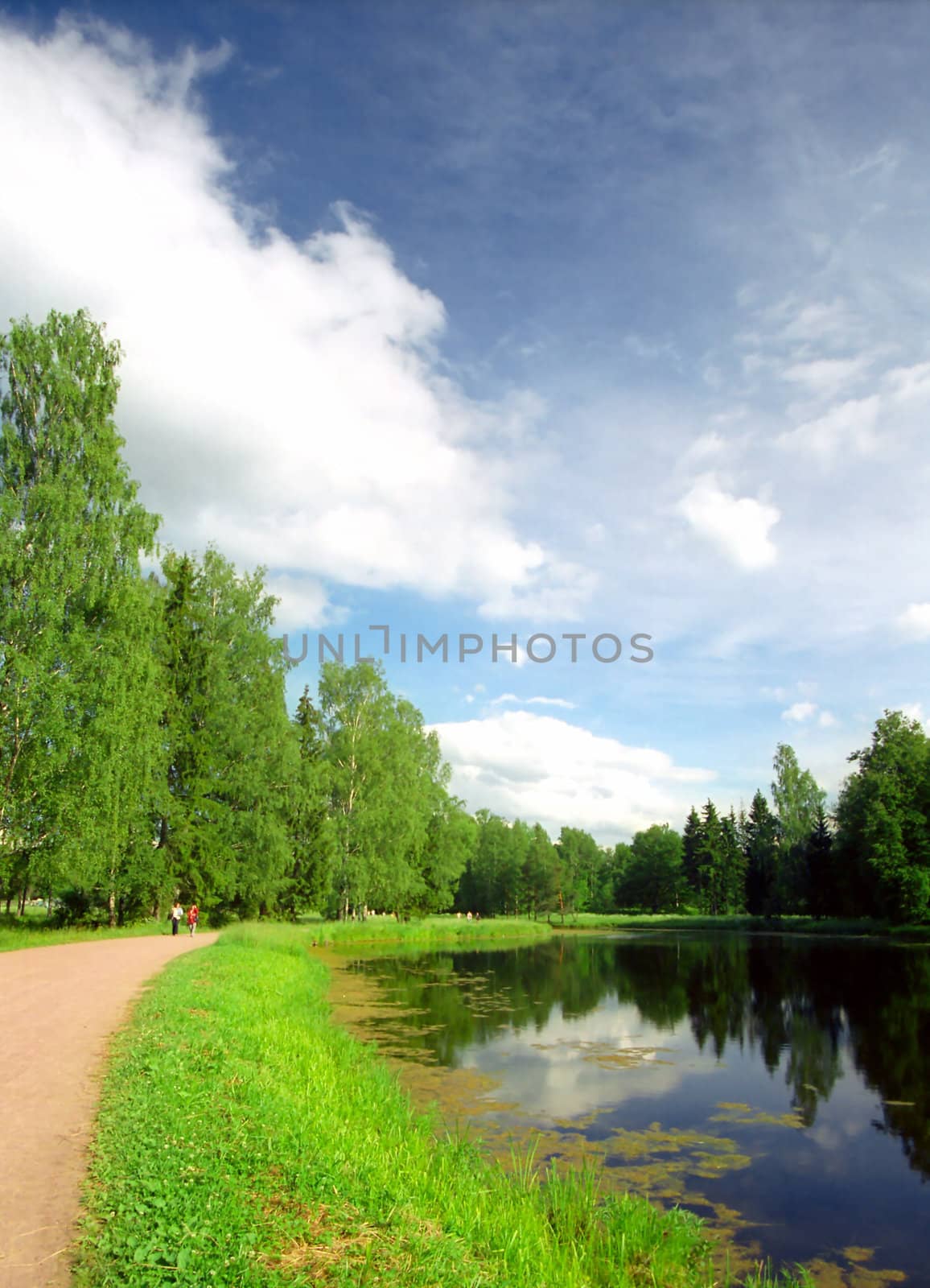 Path along shore of the lake in summer