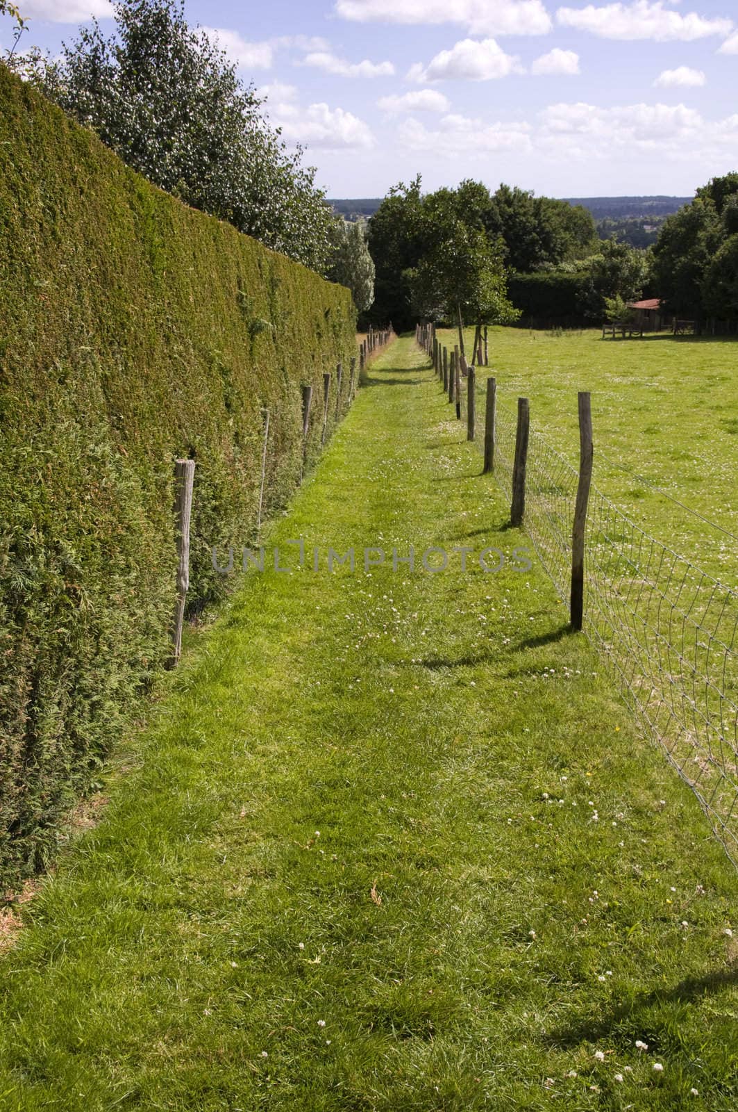 Footpath by mbtaichi