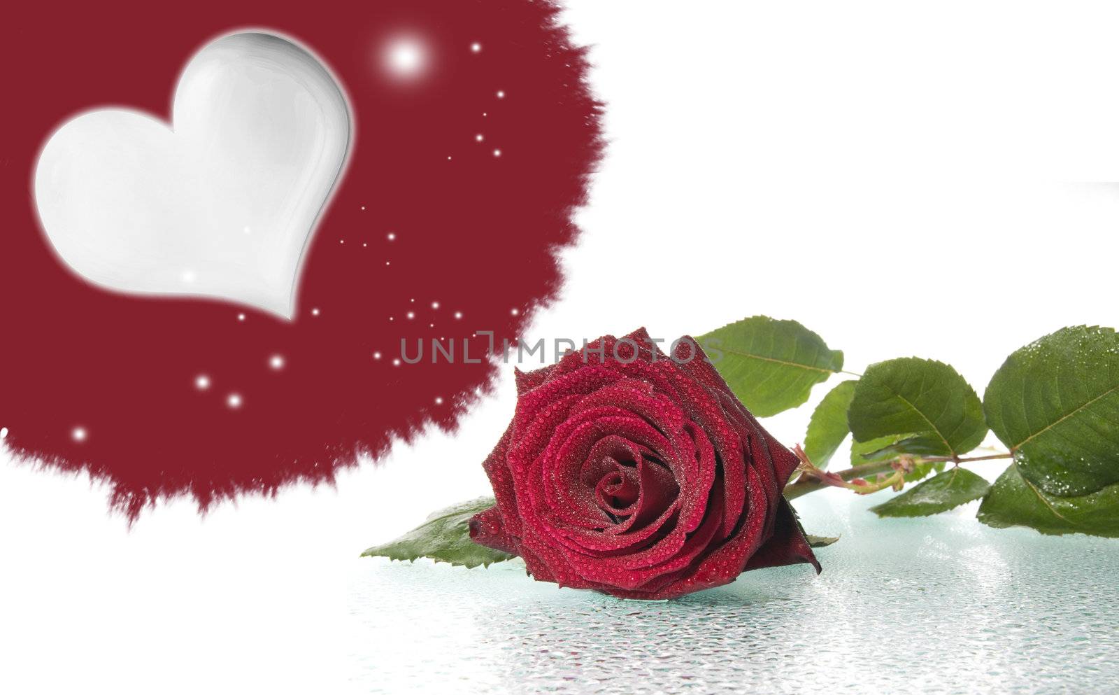 Romantic picture with a red rose and heart