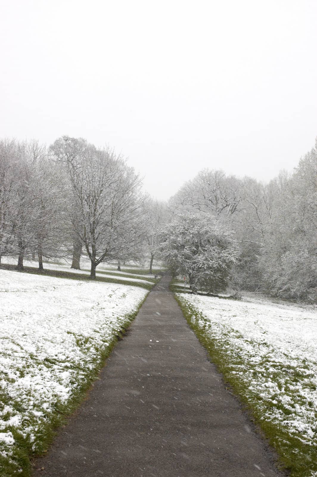 Winter path by mbtaichi