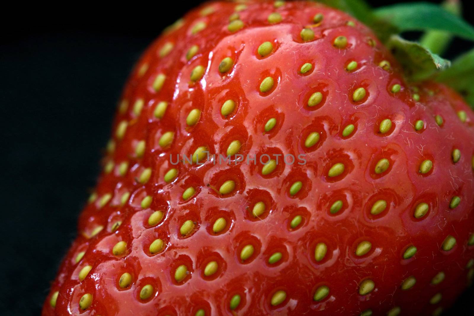 Close-up of a fresh juicy strawberry