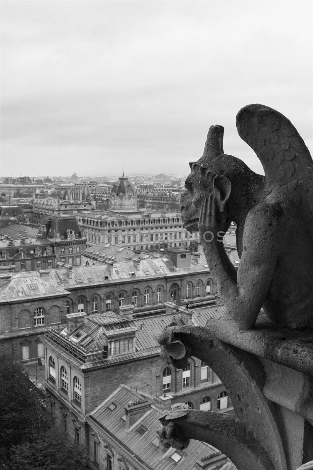 Gargoyle overlooking Paris by RuthBlack