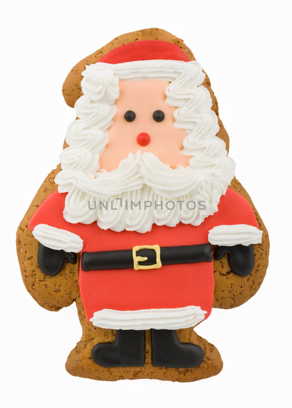 Santa Claus gingerbread by RuthBlack