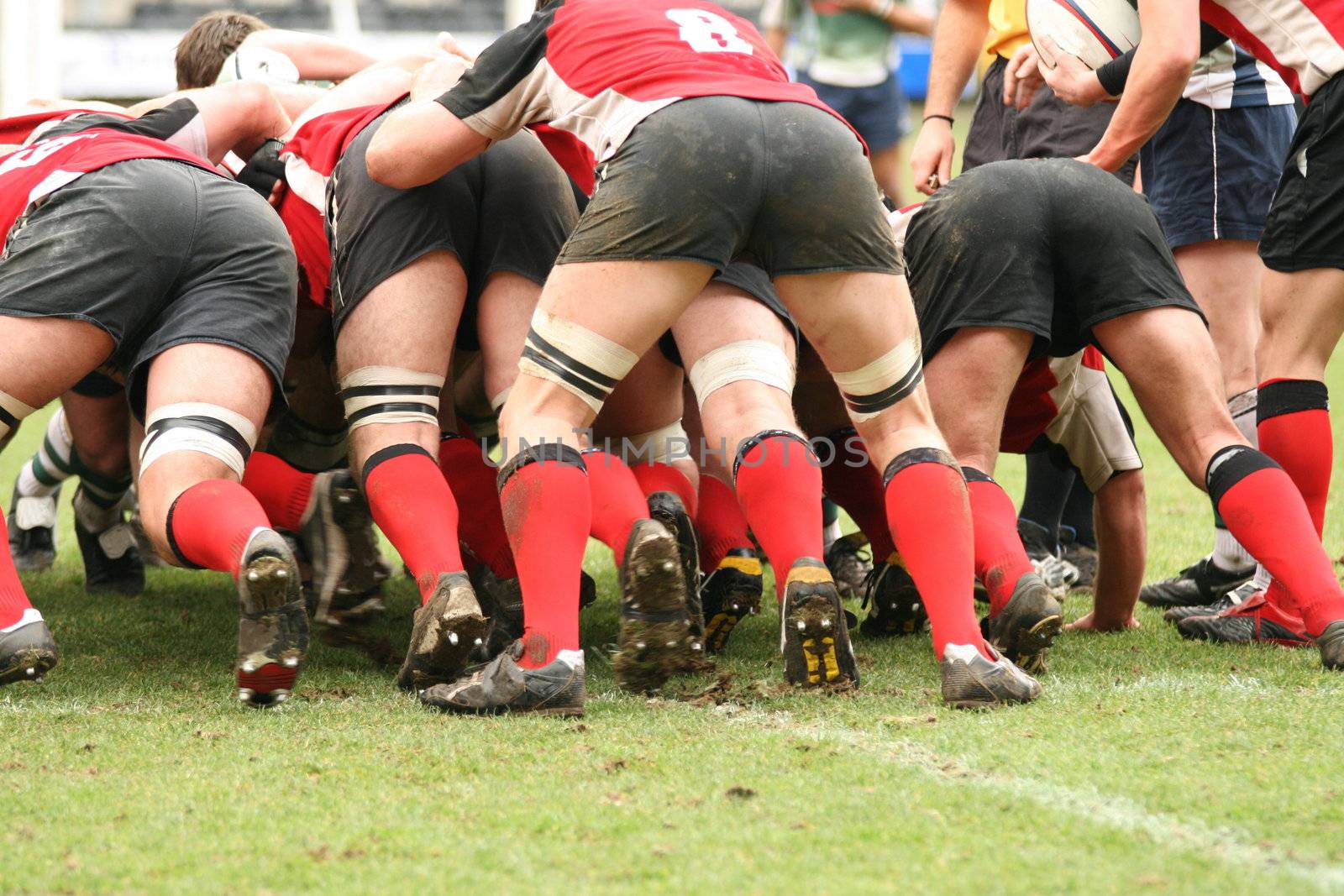 rugby scrum by mitzy