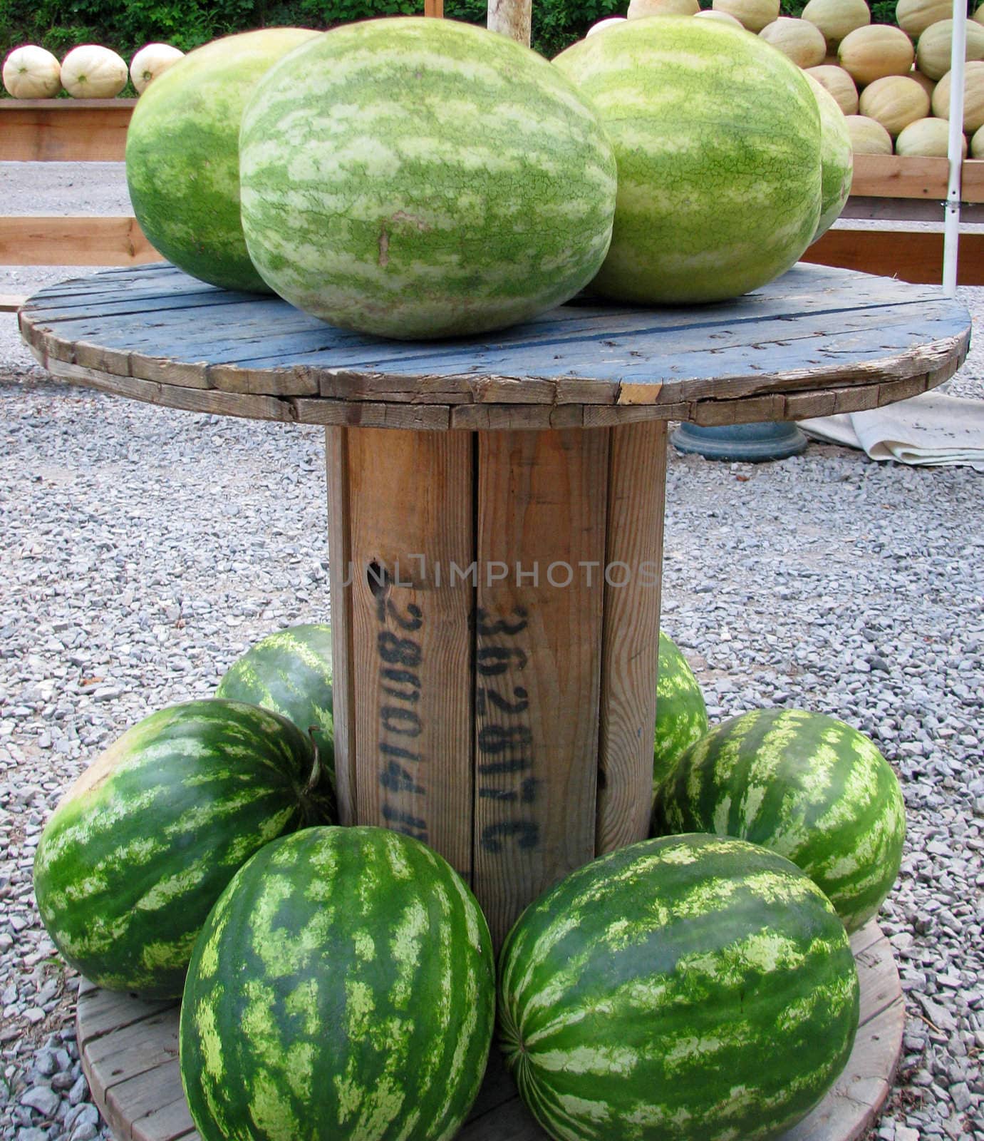 Watermelons and Cantaloupes by bellafotosolo