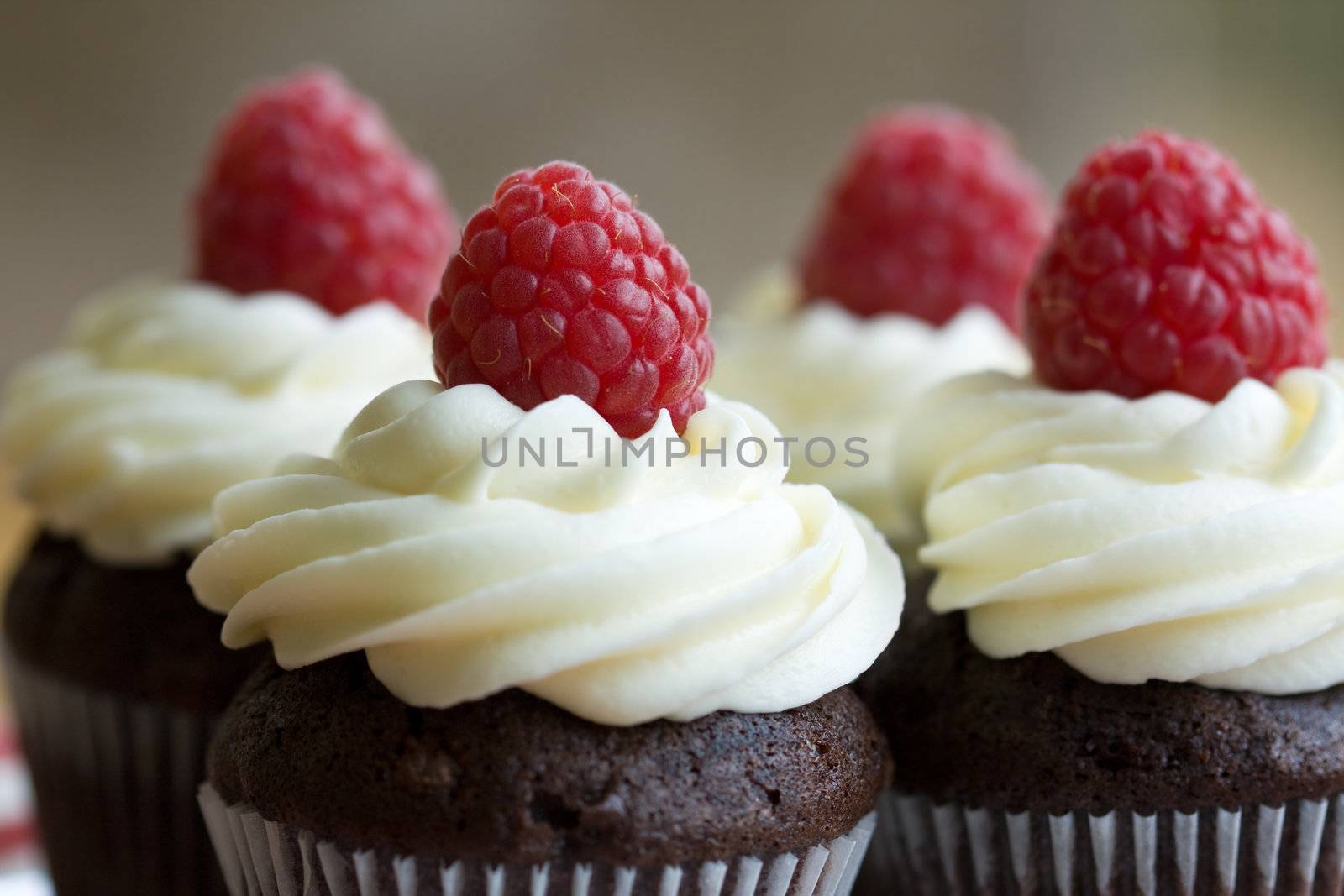 Chocolate cupcakes decorated with fresh cream and raspberries
